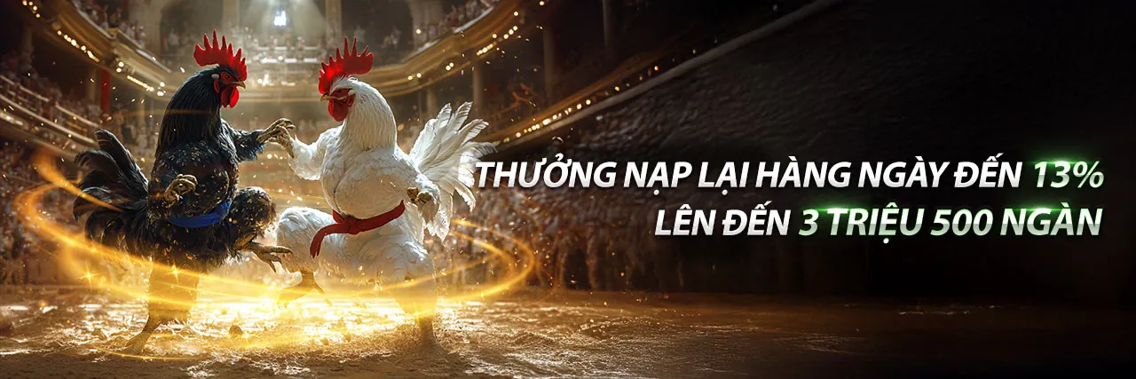 Banner khuyến mãi đá gà độc quyền tại HJ88